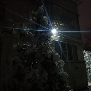 Pq - Single