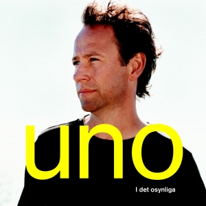 I det osynliga cover