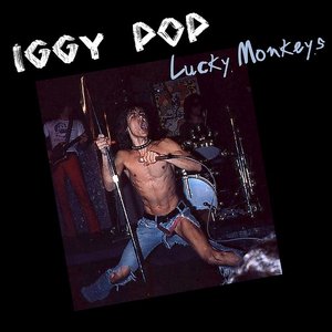 Lucky Monkeys
