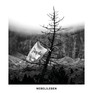 Nebel Leben