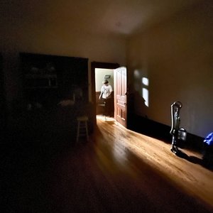 Fat Evil Dogs, Fat Evil Cats, Fat Evil Bears, Fat Evil Rats