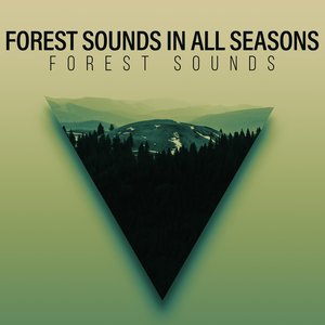 Forest Sounds in All Seasons