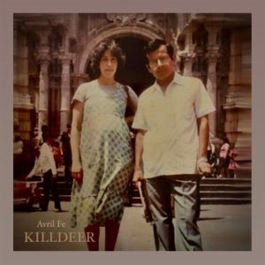 Killdeer - Single