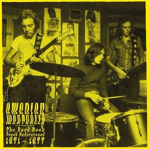 SWEDISH MEATBALLS - The Hard Rock Psych Underground 1971-1977