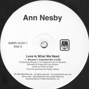Love Is What We Need (Mousse T. Mixes)