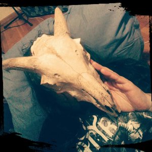 Myrddin Cane 的头像