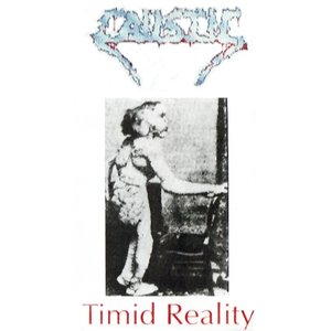 Image for 'Timid Reality'