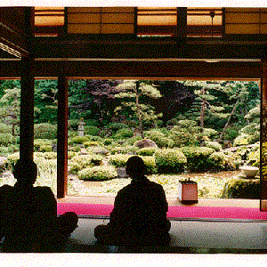 Yoshi-San için avatar