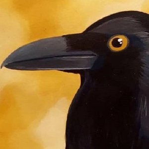 Avatar for Crow Speaks