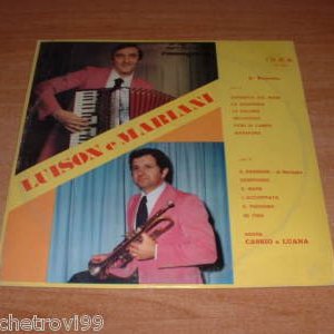 Avatar di Orchestra Luison e Mariani