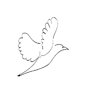 Bird - Single