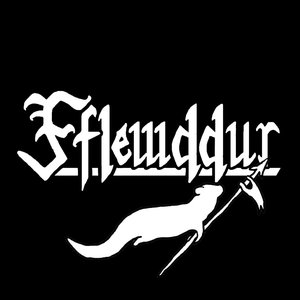 Fflewddur 的头像
