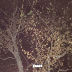 The Place I Call Home [Explicit]
