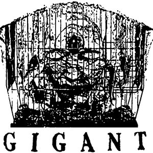 Gigant 的头像