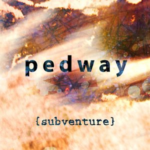 Subventure