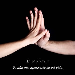 El año que apareciste en mi vida