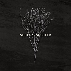 Shelter - Single