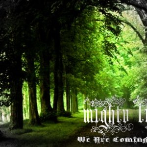 Mighty Lion 的头像