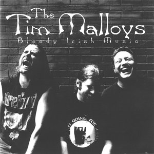 Image for 'The Tim Malloys'