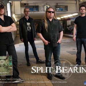 Image for 'Split Bearing'