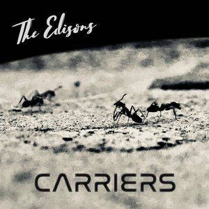 Carriers