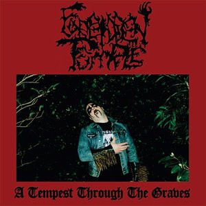 A Tempest Through The Graves