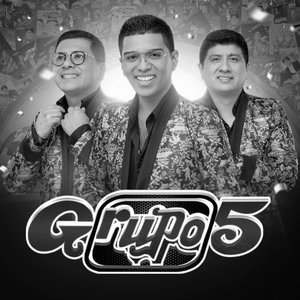 Grupo 5 のアバター