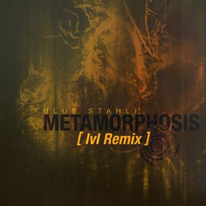 Metamorphosis (lvl Remix)