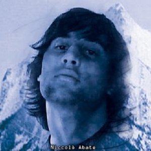 Image for 'Niccolò Abate'