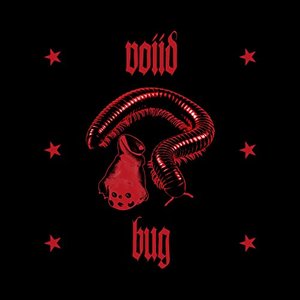 Bug