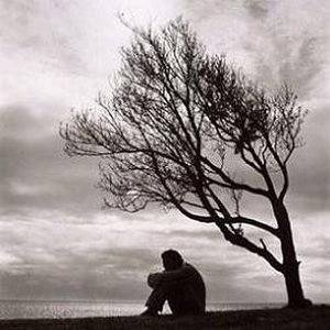 Rome Introspective 的头像