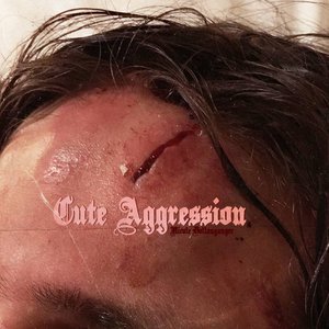 Image for 'CUTE AGGRESSION'