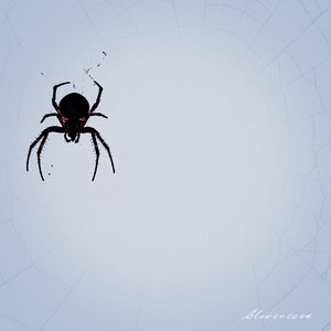 bloococoon