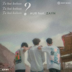 Tu hai kahan (feat. ZAYN) - Single