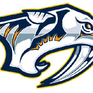 Image for 'Nashville Predators'