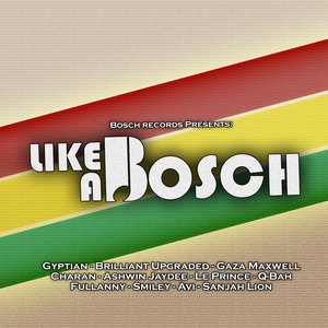 Bild för 'Like A Bosch'