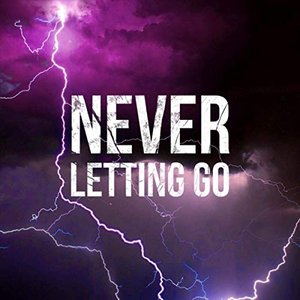 Never Letting Go - Single