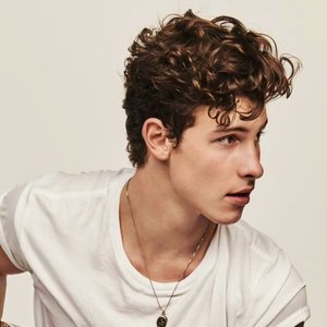 Shawn Mendes