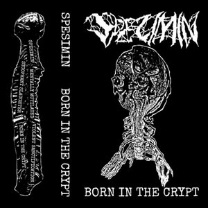 Born in the Crypt