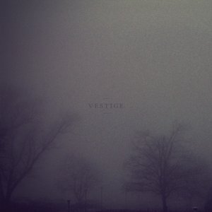 Vestige のアバター