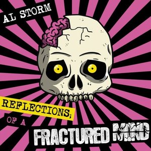 Reflections of a Fractured Mind
