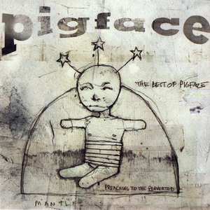 Bild für 'The Best of Pigface: Preaching to the Perverted (disc 1)'