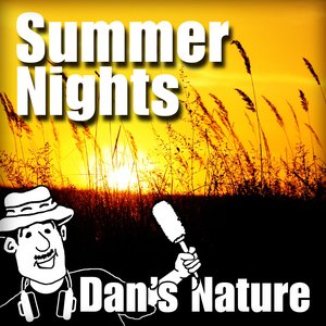 Summer Nights (Nature Sounds)