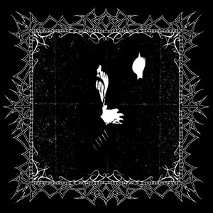 Noctambulous Ecstasies