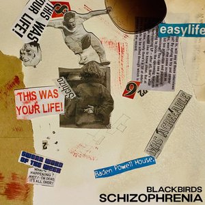 Schizophrenia - Single