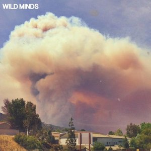 Wild Minds