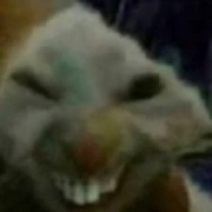 xdx | 的头像