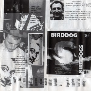 Image for 'BirdDogs'