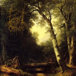 Forest of Orthanc