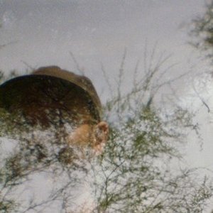 Avatar de Aréna